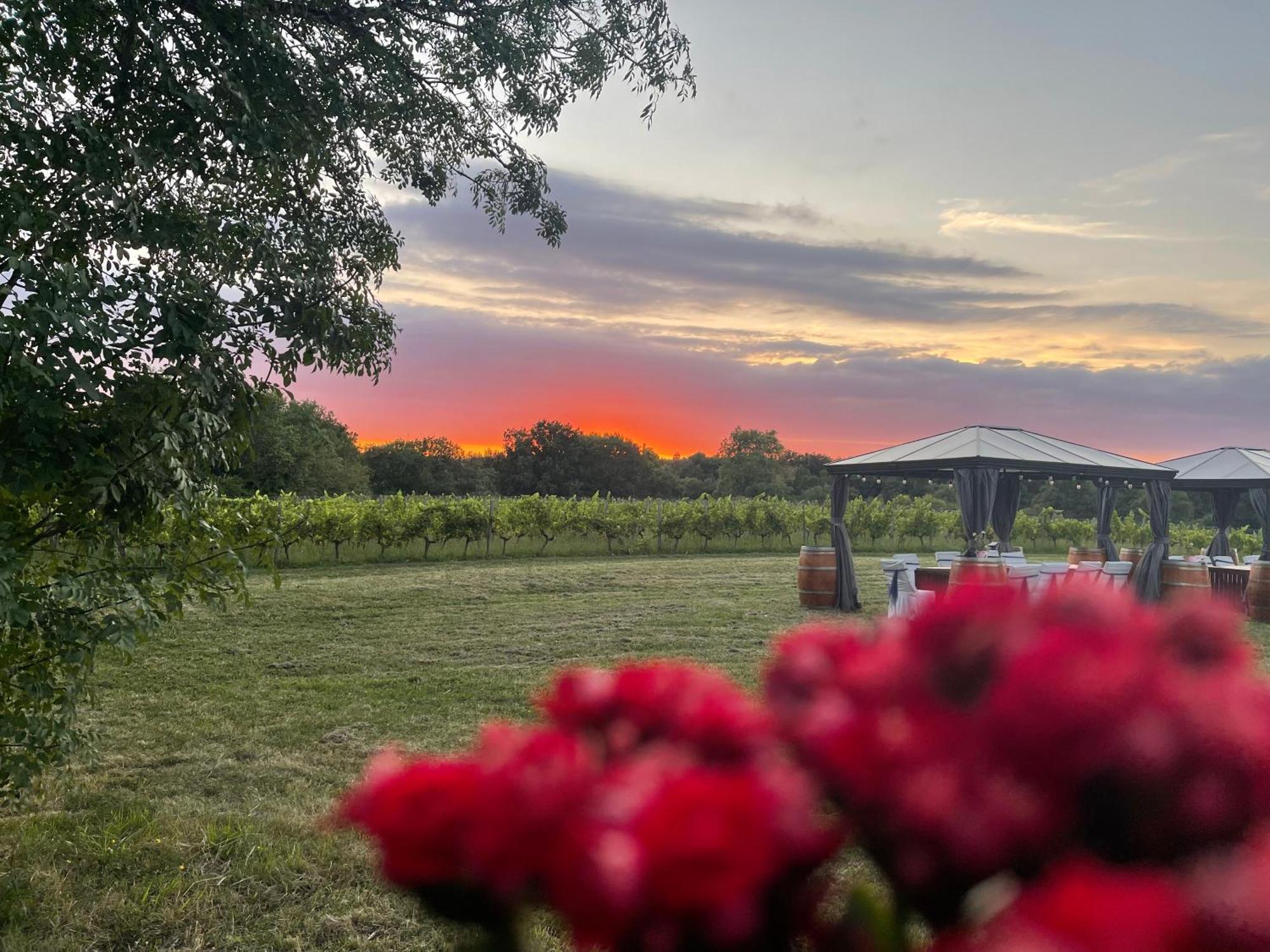 Bordeaux Chateau Lafleur Quinsac  Dış mekan fotoğraf