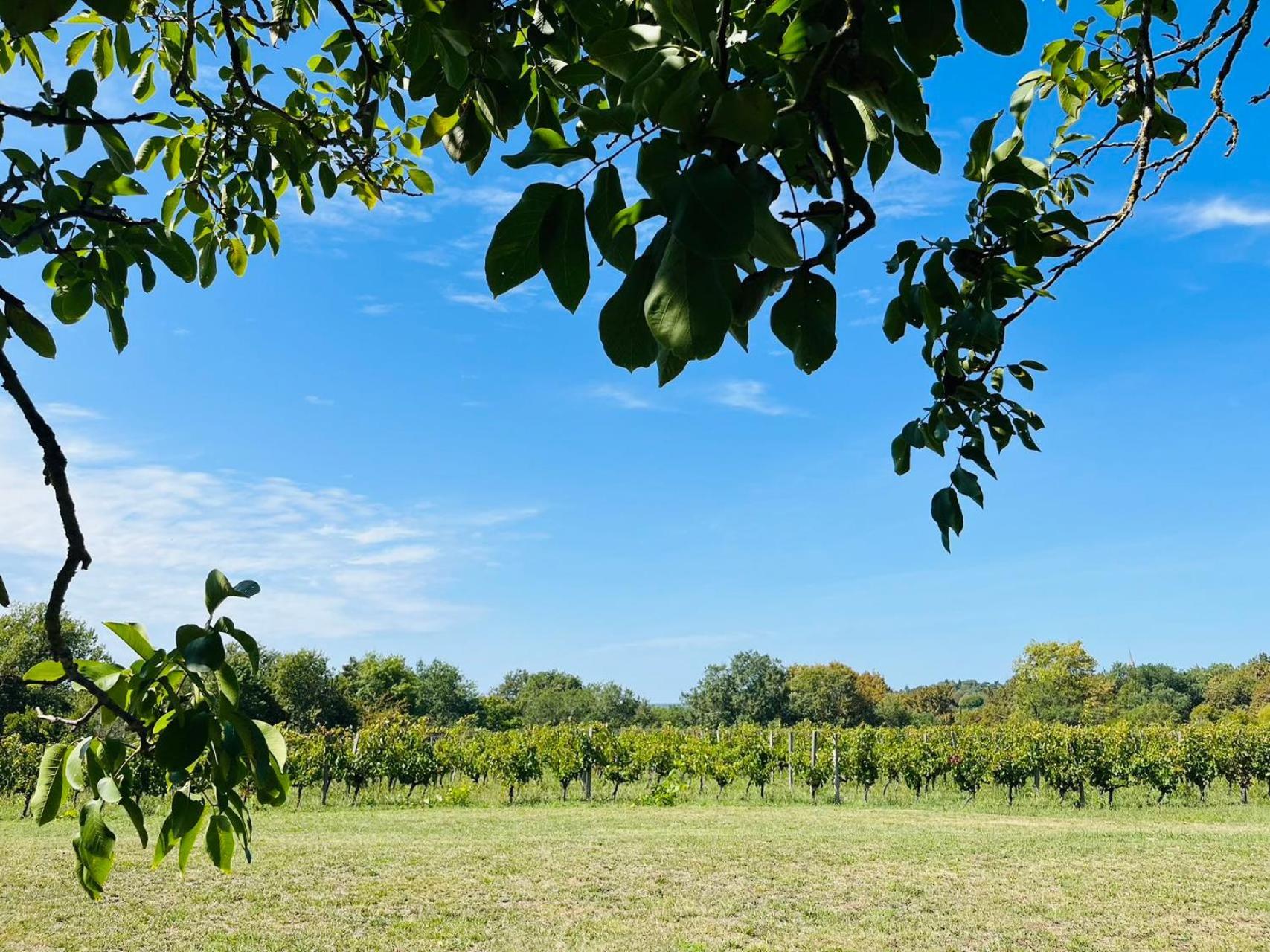 Bordeaux Chateau Lafleur Quinsac  Dış mekan fotoğraf